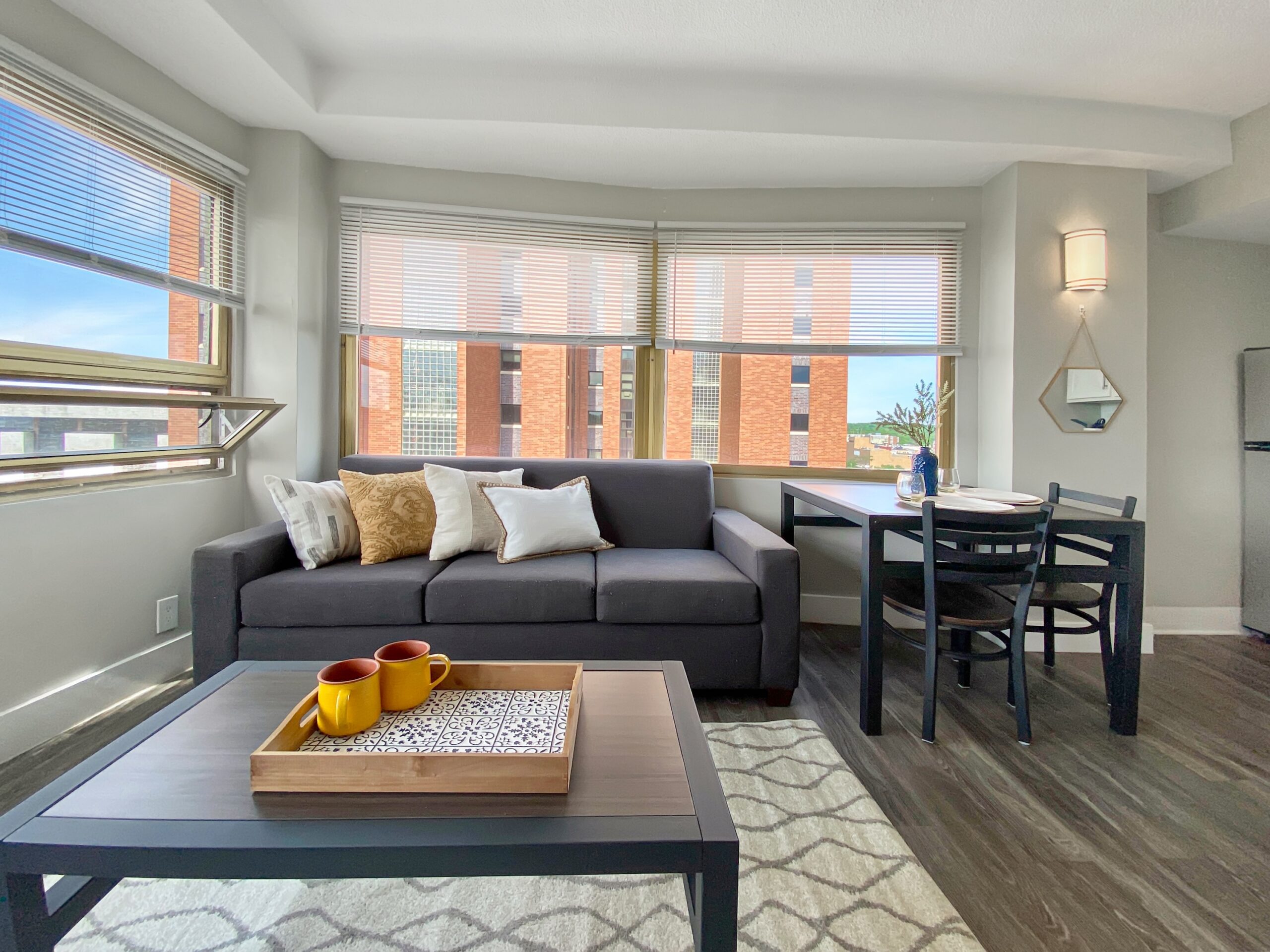 comfortable studio apartment lounge setup grey sofa scaled